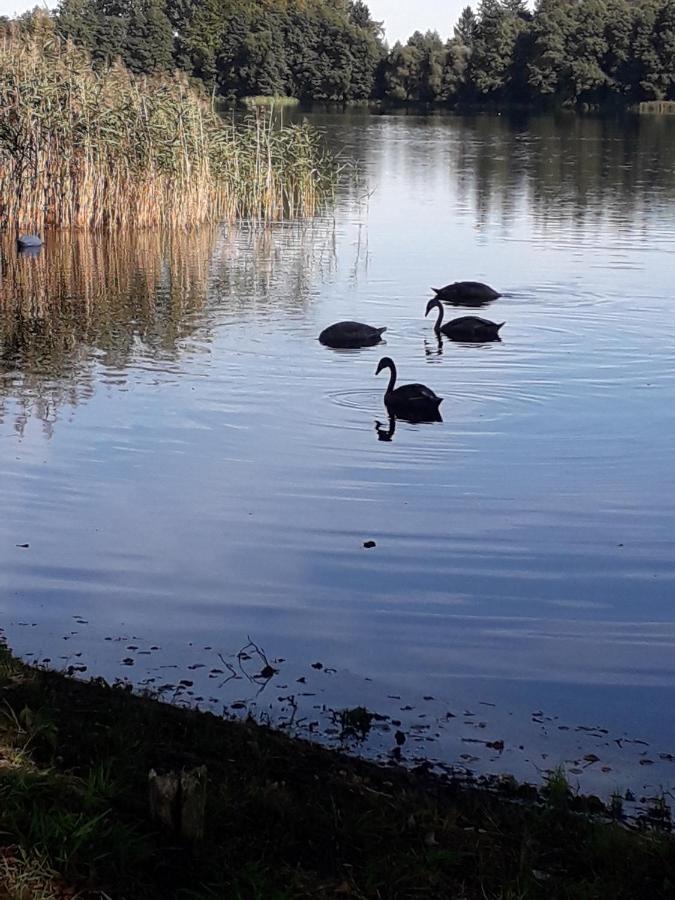 Domek U Janiny Czaplinek Exteriér fotografie